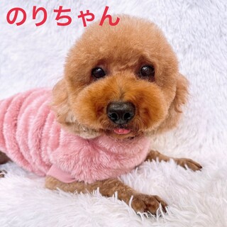 抱っこ大好き♡のりちゃん