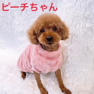 なつっこい♡ピーチちゃん