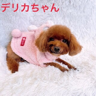 遊ぶの大好き♡デリカちゃん