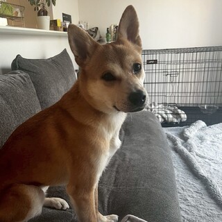 パワフルで心優しい女の子♡花音ちゃん