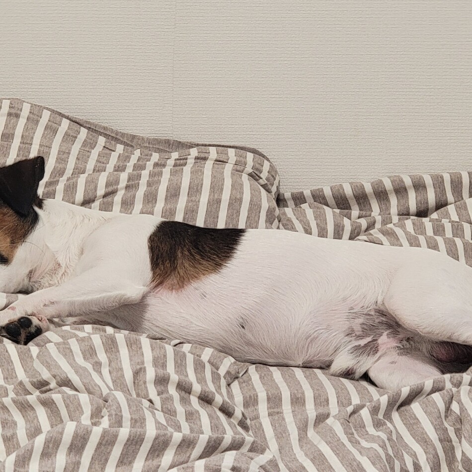 とののカバー写真