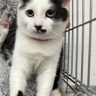 困り顔のひかりくん⭐️