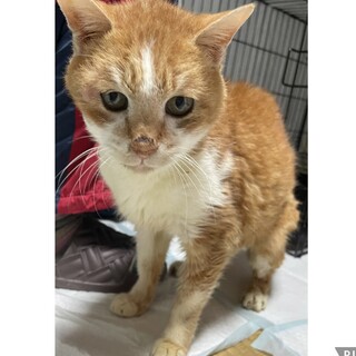 天真爛漫、甘えん坊の男の子です。