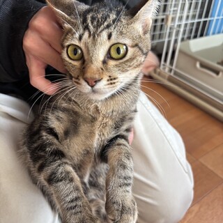 ねりあっちちゃん