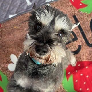 とってもお利口さんです♪