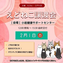 えどねこ譲渡会 江戸川区保健所（小岩健康サポートセンター）