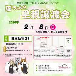 ひらこましっぽの譲渡会（錦糸町 日本動物21）