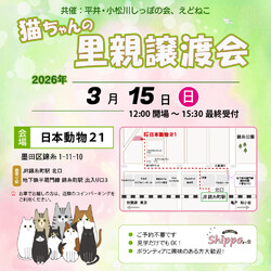 ひらこましっぽの譲渡会（錦糸町 日本動物21）