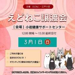 えどねこ譲渡会 江戸川区保健所（小岩健康サポートセンター）
