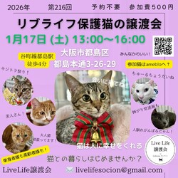 LiveLife譲渡会inキャットソシオンギャラリー