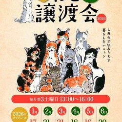 LiveLife譲渡会inキャットソシオンギャラリー サムネイル2