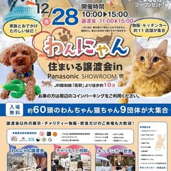 わんにゃん住まいる譲渡会inパナソニックショールーム堺