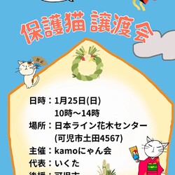 保護猫譲渡会in花木センター 20260125