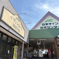 保護猫譲渡会in花木センター 20260125 サムネイル2