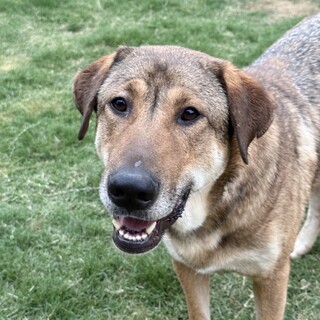 見惚れるほどカッコいい！おっとりでっかい男の子