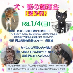 犬・猫の譲渡会