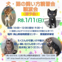 犬・猫の飼い方講習会・譲渡会