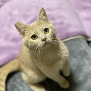 素敵な毛色のきくらげくん♪