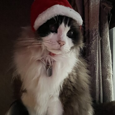お友達の皆様、穏やかなクリスマスイブを！