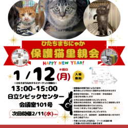 ひたちまちにゃか保護猫里親会