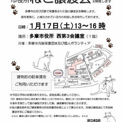 多摩市役所にて保護猫譲渡会開催