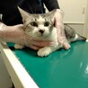 サバ白★みぞれ★シャイガール サムネイル3