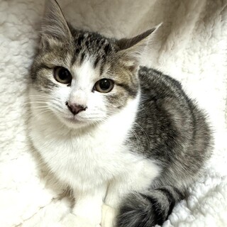 【1/10東銀座】ミロちゃん★３ヵ月半♪