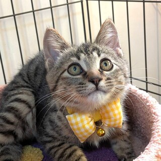 【12/27東銀座】マルくん★３ヵ月♪