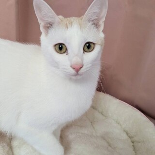 【1/25東銀座】イーくん★１歳♪