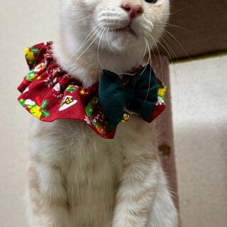 【1/25東銀座】響くん★９ヵ月♪