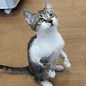 お芋姉妹❤️シルクちゃん