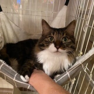 とってもゴージャスで甘えん坊なウルル君