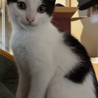 えずじろう君！将来はイケニャン間違いなし