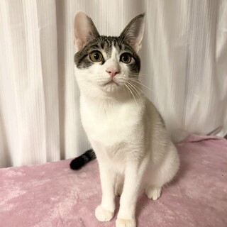 【3/29東銀座】ベイビーくん★１歳♪