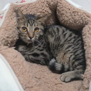 ���l�`�̂悤�ɉ���!!�C���[�i������