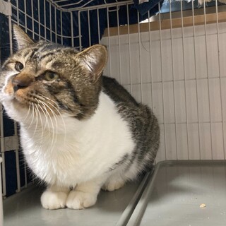 【募集一時停止】お顔の大きな食べ物大好き食いしん坊