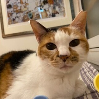 �Â����Ȃ������[�ɖ�����܂��񂩁�