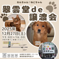 翠雲堂de譲渡会