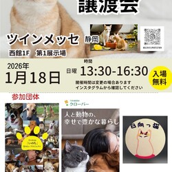 クローバー保護猫譲渡会&地域猫活動相談会　in静岡市