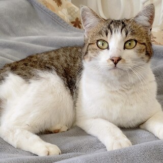 千葉/控えめに甘えてくれる女の子です♡