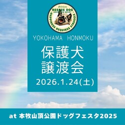 横浜・本牧山頂公園譲渡会