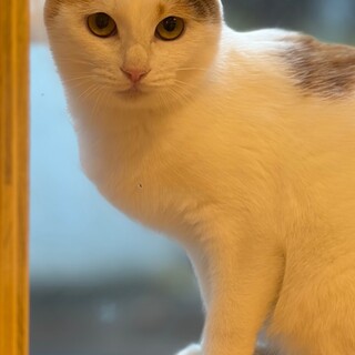 おっとりお淑やか女子マリーちゃん