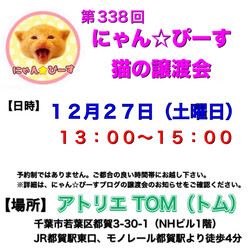 譲渡会 にゃん☆ぴーす猫の譲渡会【都賀･アトリエTOM】