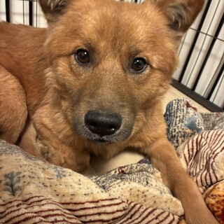 デクくん(旧つーちゃん)