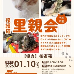 柏斎苑保護ねこ里親会