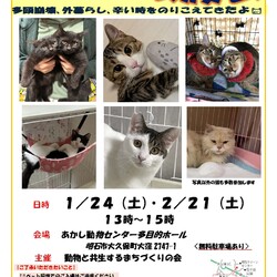 ほご猫譲渡会㏌明石