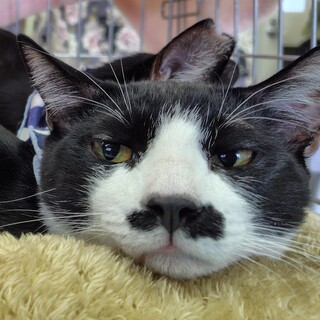 トライアル決定かっこいい優しいお兄ちゃん