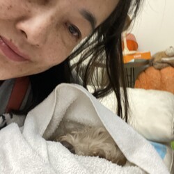 ミッキーの旅立ち