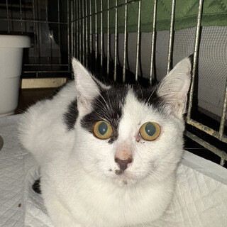 葉っぱ4ヵ月半♀陸海空の姉妹