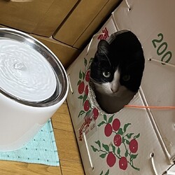 「雷への手紙」サムネイル1